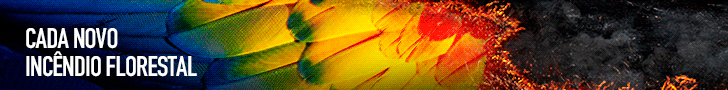 spot_img